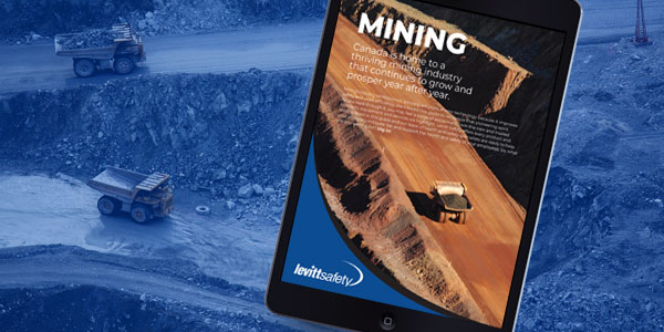 mining guide image