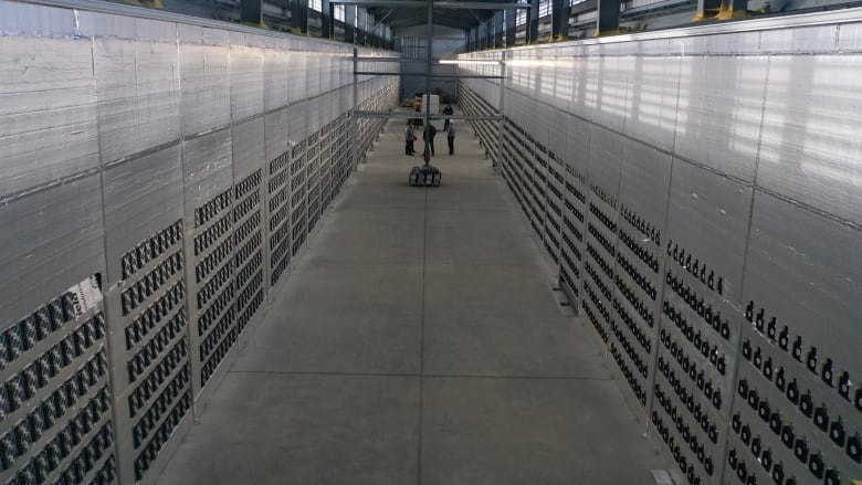 hive bitcoin mine in New Brunswick