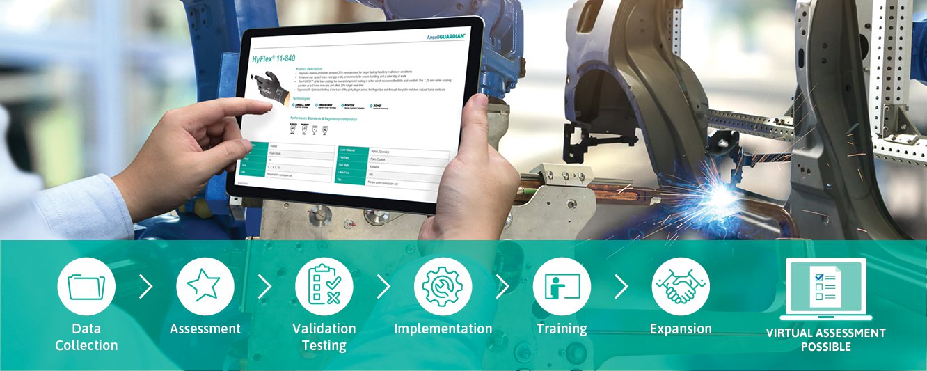 steps of the ansell guardian program. Data collection, assessment, validation testing, implementation, trianing, expansion. Virtual assessment possible.