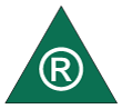 safety boots green triangle