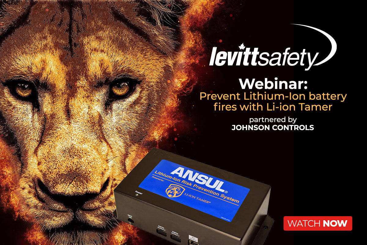 Image of a lion with the Li-ion Tamer battery for a webinar recording